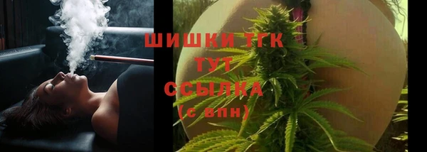 PSILOCYBIN Аркадак