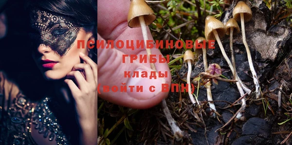 PSILOCYBIN Аркадак