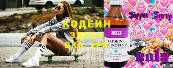 PSILOCYBIN Аркадак