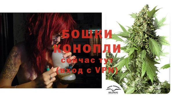 винт Армянск