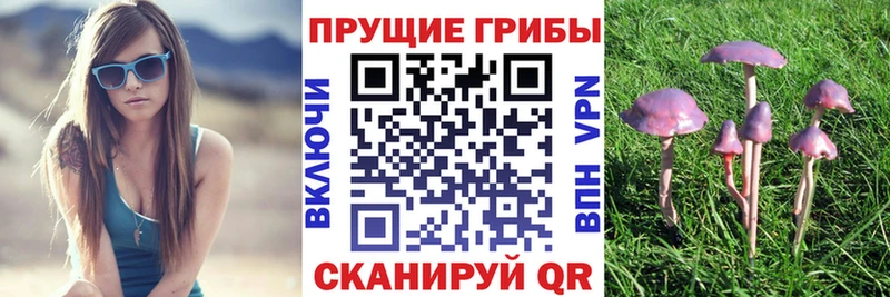 Купить где  Нижняя Салда  Псилоцибиновые грибы прущие грибы 