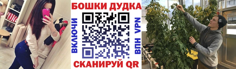 Канабис план  Купить закладки  Нижняя Салда 